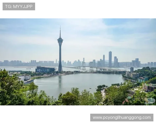 永利澳門派息最新公告，2024年度派息方案详细解析