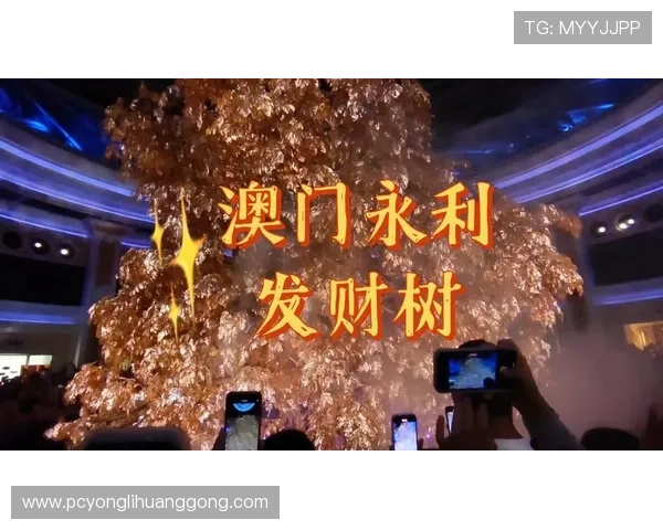 永利澳门网址大全官方导航，帮助用户快速找到永利澳门最新官方入口