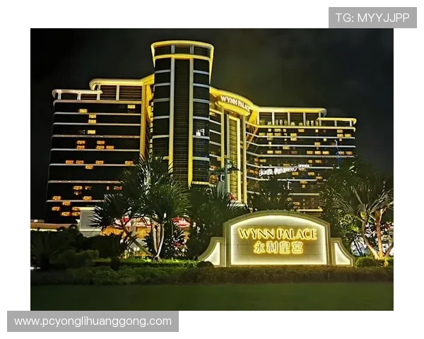 永利皇宫集团网址查询的重要性及注意事项全面解析