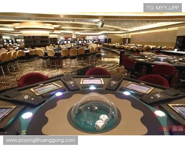 澳门各大赌场的餐饮娱乐与休闲设施一站式指南 澳门各大赌场的餐饮娱乐与休闲设施一站式指南