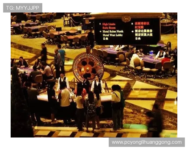 澳门十大赌场排名权威发布,揭秘最受赌客青睐的博彩场所 澳门十大赌场排名权威发布,揭秘最受赌客青睐的博彩场所