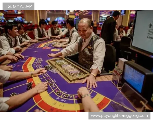 澳门最有名赌场的未来发展趋势与创新方向，展望澳门博彩业的持续繁荣与创新