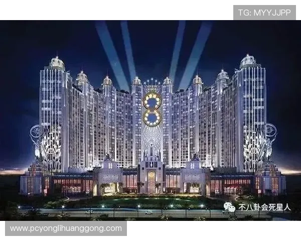 新濠国际发展有限公司的财务状况与投资前景详尽分析报告 新濠国际发展有限公司的财务状况与投资前景详尽分析报告