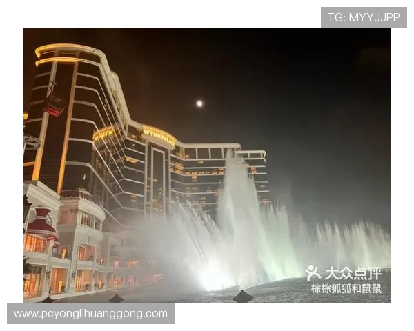 永利皇宫网页入口官网官方入口网址，详细介绍登录流程与常见问题解决方案