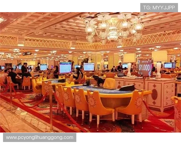 澳门有名气赌场排名前十的豪华赌场场所详细介绍与攻略