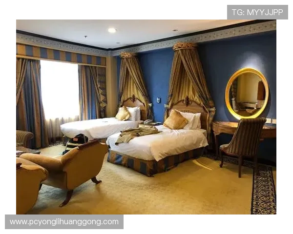 澳门葡京赌场网址2024最新版本，全面升级的线上娱乐体验指南