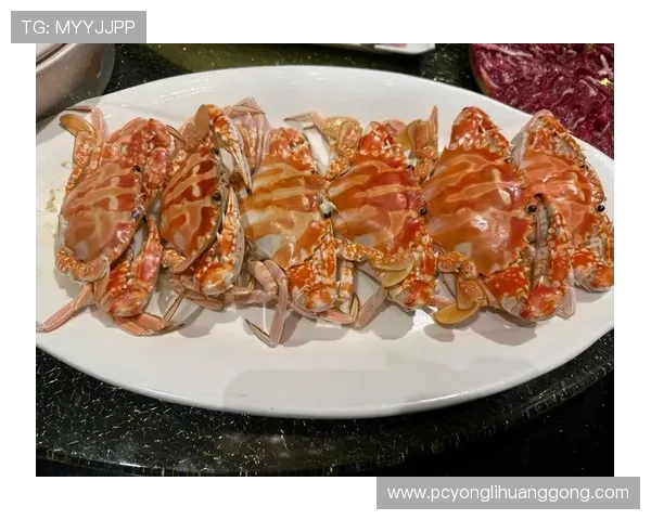 澳门金龙中心餐饮推荐汇总多样美食满足不同口味的高品质用餐选择